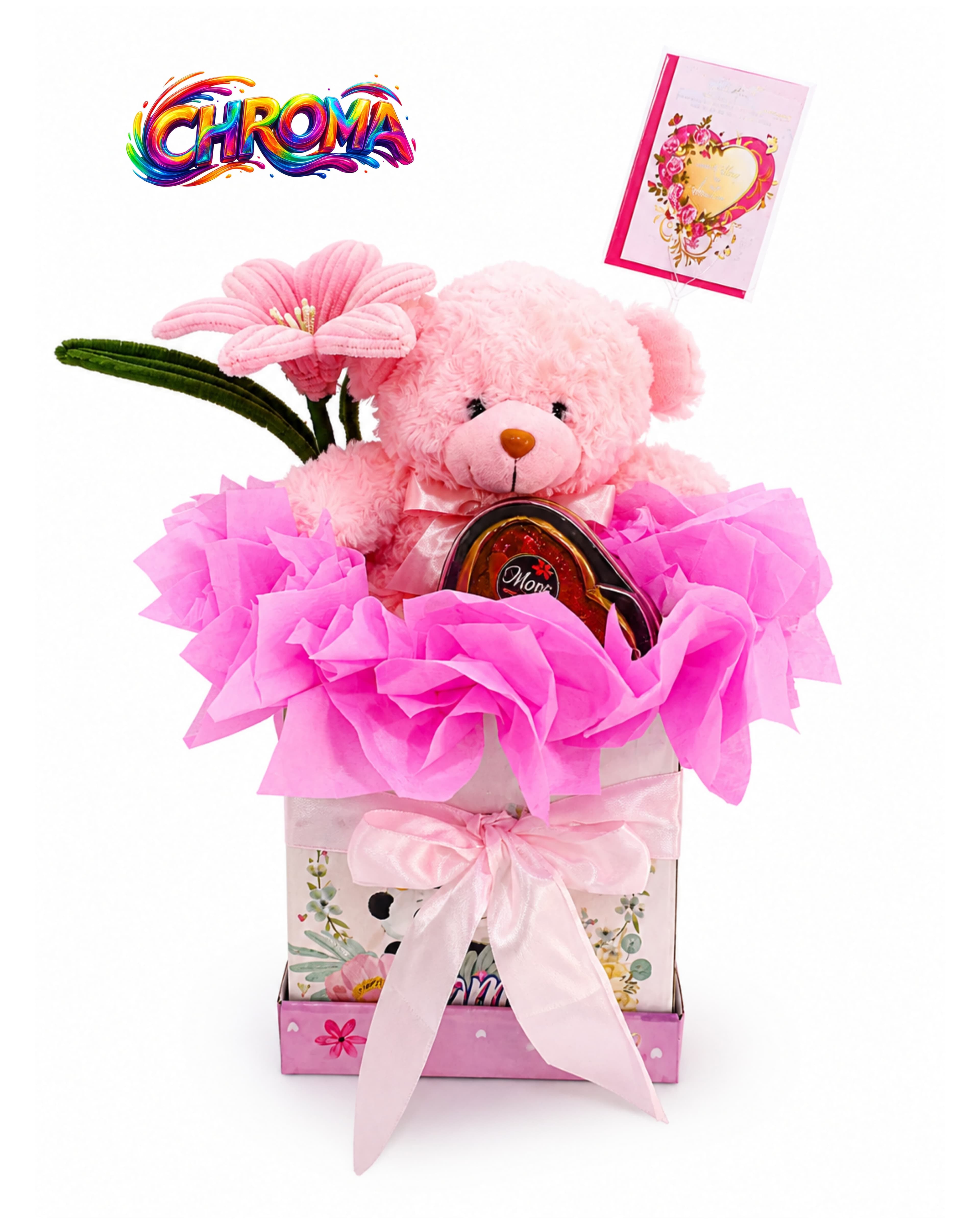 Pack Oso Especial 2